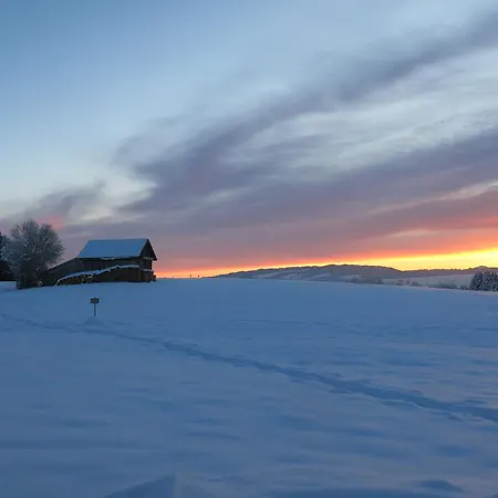 Prázdninový dům Am Hochbergle Haus 109 *